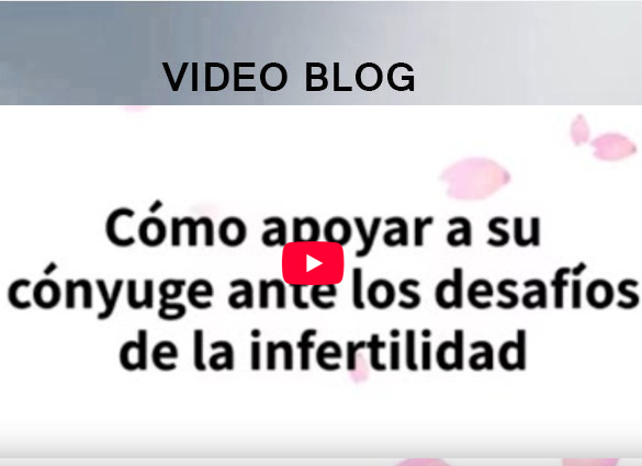 Blog Video