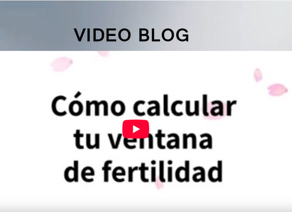 Blog Video
