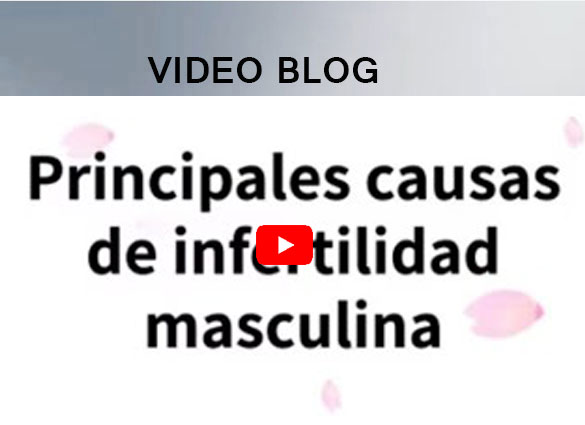 Blog Video
